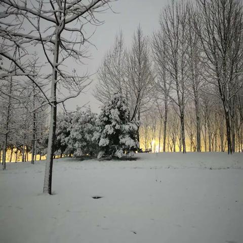 2022年的第一场雪