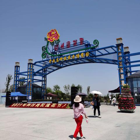 黄河岸边玫瑰园