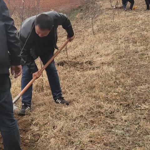 苍石林场党支部主题党日活动