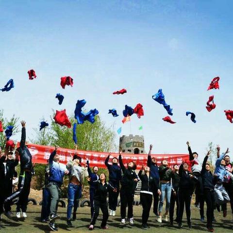 致宝石花奋斗的青春