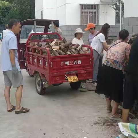 凝聚人大力量，化身人居环境整治的践行者