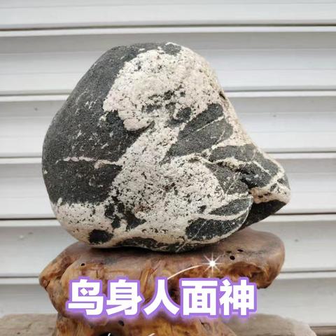 青龙欣赏石 “鸟身人面神”