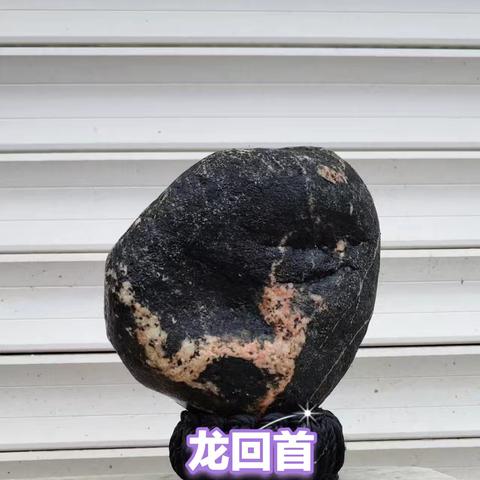 青龙欣赏石“龙回首”