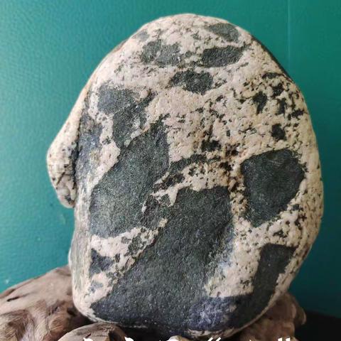 青龙欣赏石《文字石“公”》（副本）