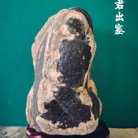 青龙欣赏石 “昭君出塞”