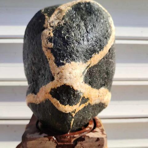 青龙欣赏石“神秘的画面”