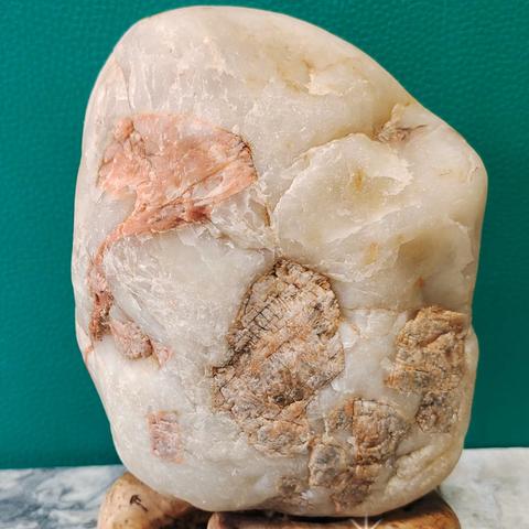 青龙欣赏石 “北京猿人”