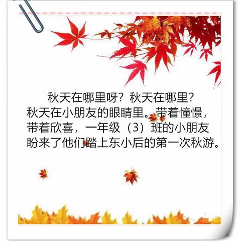 寻味农耕 走进自然——记东小103班秋游