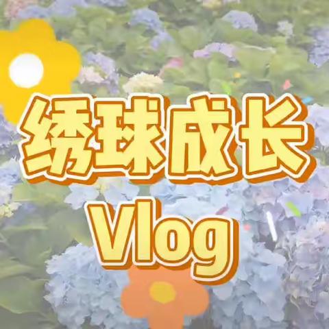 绣球花