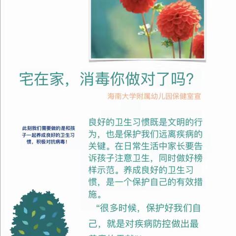 海南大学附属幼儿园预防新型冠状病毒肺炎（家庭版）