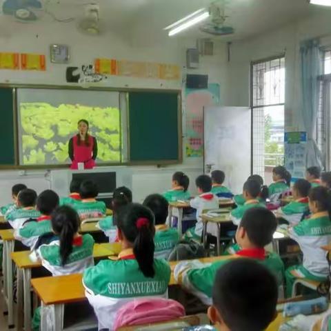 2016龙门县小学语文阅读教学录像课片区赛