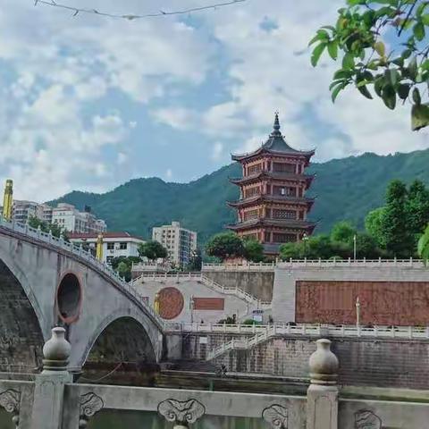 中语教坛竞芬芳，风景这边独好！———岚皋团队赴平利“聚焦核心素养，点亮阅读明灯”教学观摩研讨会纪实