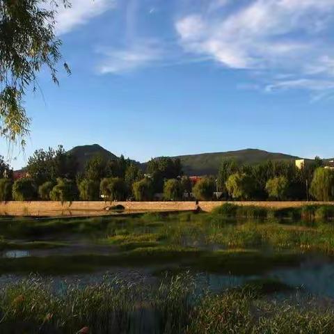 珍爱生命，预防溺水——诸葛一小防溺水安全教育系列活动