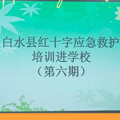 安全守护“救”在身边——白水县实验幼儿园岗前培训之（一）