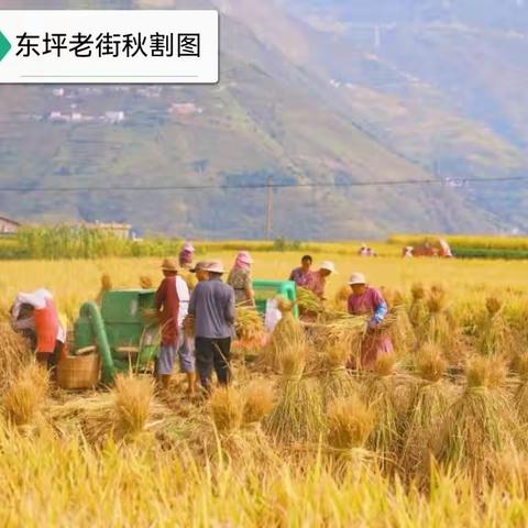 秋分，家乡一道靓丽的风景