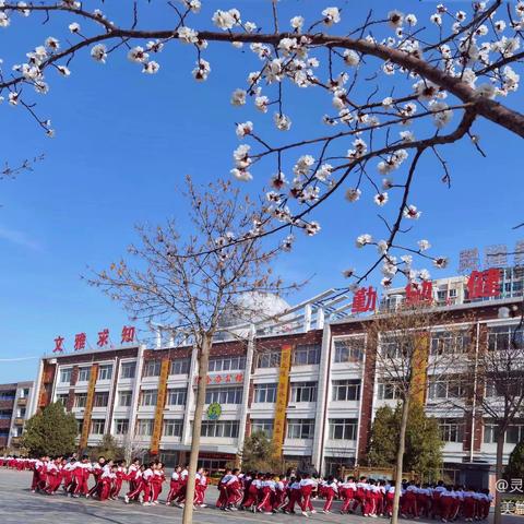 【四小教研】以问题为引领         重建知识结构——灵武市第四小学高年级数学组教研活动