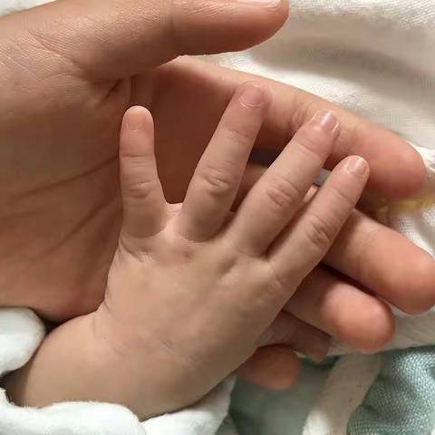 我家有女初长成