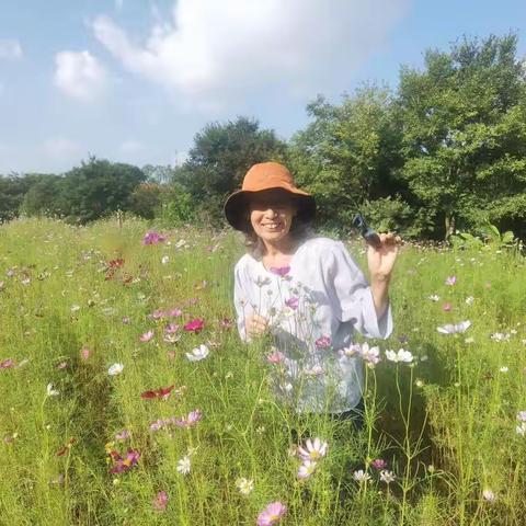 七律（鹏城霜降）