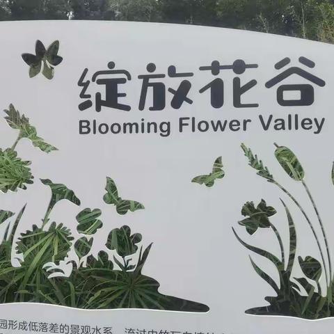 五律，游都市田园