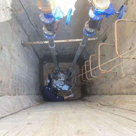 解难题，办实事，摒弃“等、靠、要”，发挥党员先锋模范带头作用