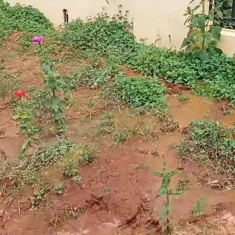 齐心协力，挖沟护站