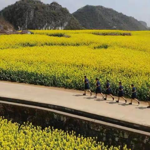 油菜花盛开的季节 蓝朋友与春天不一样的“约会”