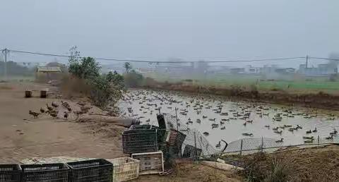 桐河信用社------我们老百姓自己的银行