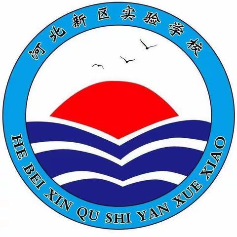 「河北新区实验学校」“共和国长子的家国情怀”———佩戴国旗徽章活动