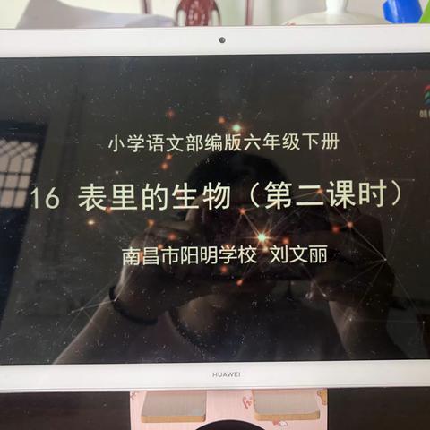 官将小学六年级语文听课打卡5.9