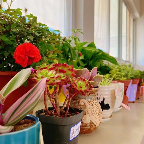 许美好愿望，献绿色爱心——商城县汪桥镇中心小学开展“植树节”活动