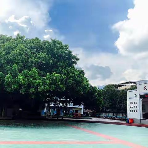 漳州市大寨中心小学：插柳之恩，铭记于心；信念铸船，乘风破浪