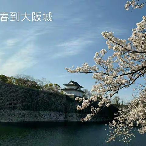 日本行 - 东瀛赏樱