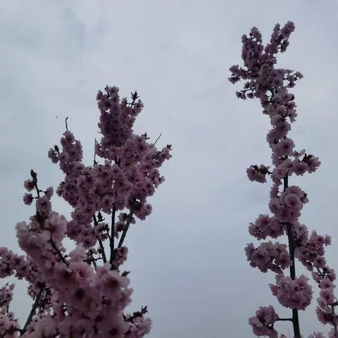 片石集（杂谈）