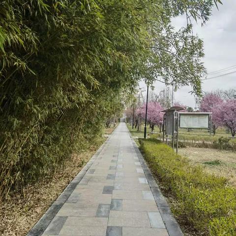 文明与野蛮（诗歌）