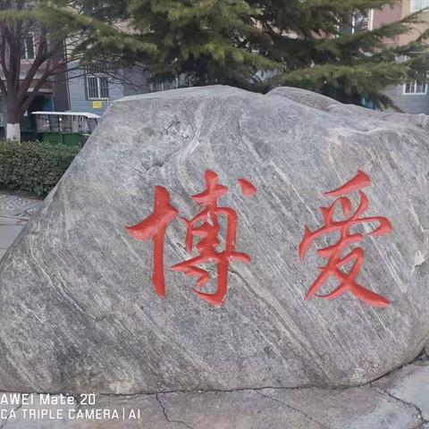 白发亲娘（诗歌）