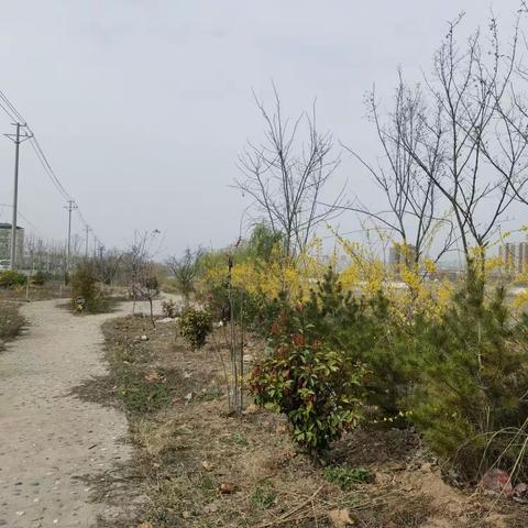 七言藏头诗（原创）