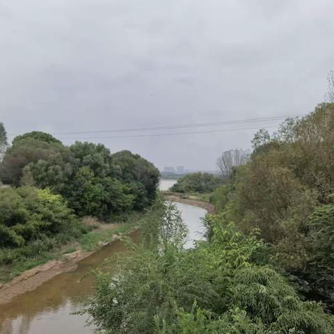 雨是云的泪（诗歌）