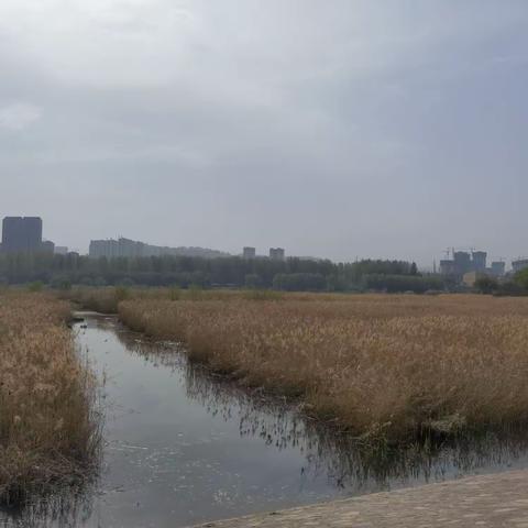 写给广阔天地（诗歌）