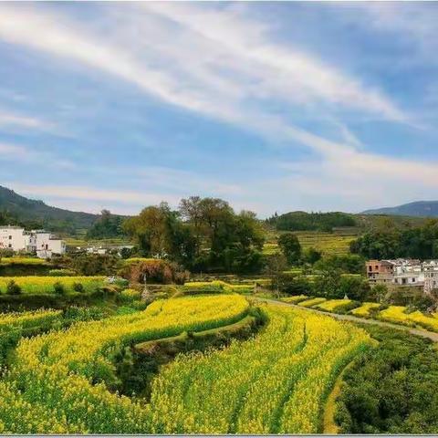 春回大地，万物复苏3.12植树节——大兆街道中心幼儿园