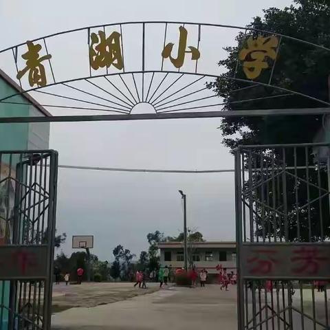 廉江市河唇镇青湖小学——防新冠状病毒宣传