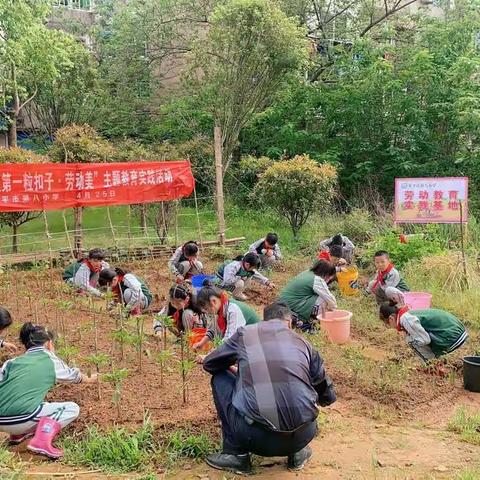 “扣好人生第一粒扣子·劳动美”——乐平八小开展劳动教育实践活动