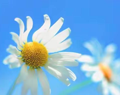 教学研讨、共促提升—卞桥镇中心小学银线河校区六年级数学第三单元集体备课活动纪实