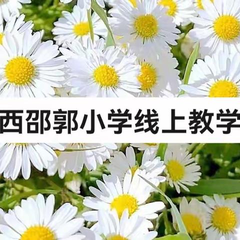 西邵郭小学线上本周教学总结