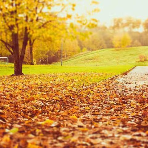 语文学科名师工作室培训心得