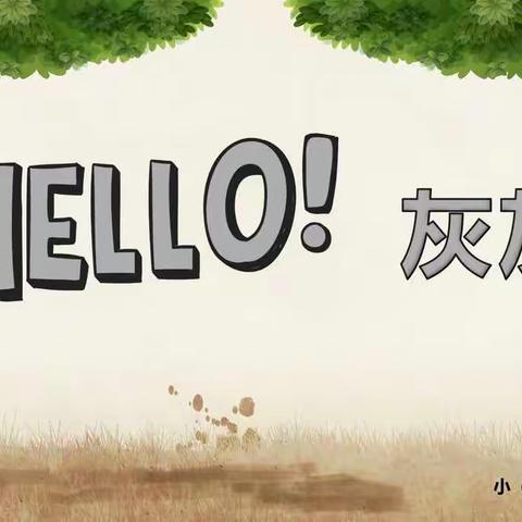 HELLO！灰灰