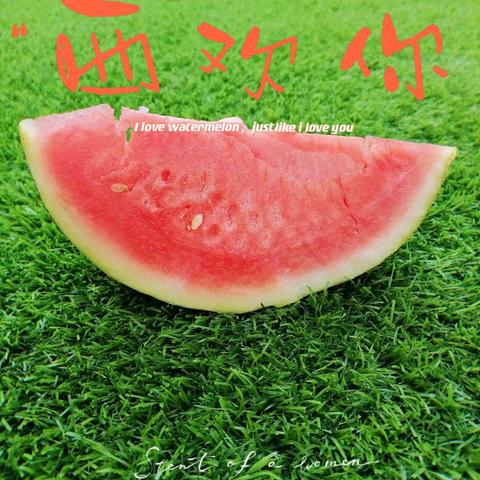 用爱陪伴❤️静待花开🌸乌林镇第一幼儿园小一班期末美篇🌻🌻