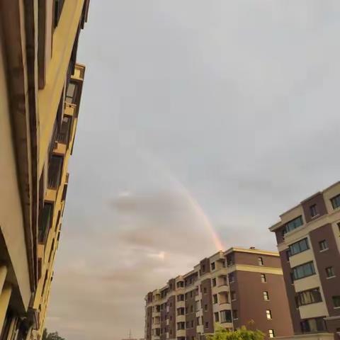 雨后彩虹🌈