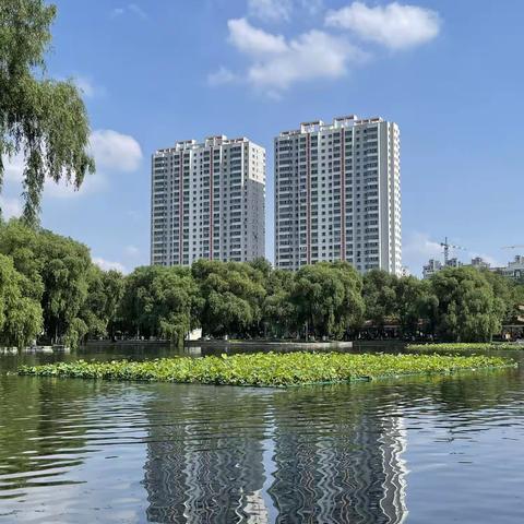 《湖光水华》作者:付学林