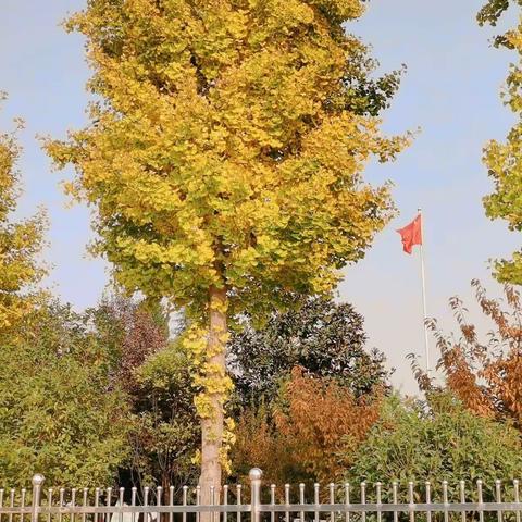 【金秋十月  “幼”见美好】——鄠邑区渭丰街道坳河幼儿园小班10月剪影