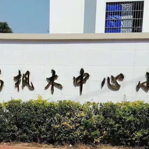 与法同行，共护成长—枫木中心小学法治宣讲进校园活动